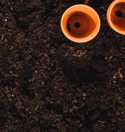 Gardening tools on fertile soil texture background seen from above, top view. Gardening or planting concept. Working in the spring garden.